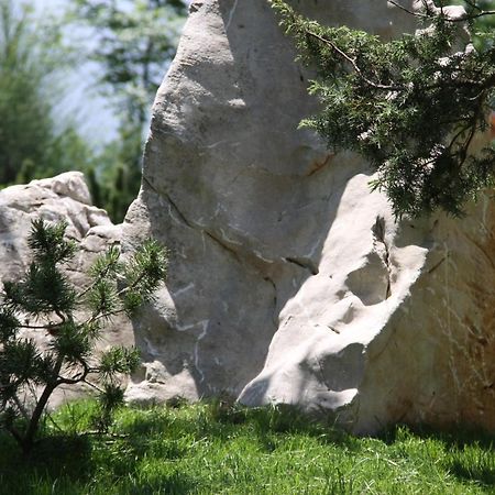 Villa Eagle Eye Montenegro Kotor Eksteriør bilde